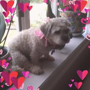 Meet your Posher, Noemi